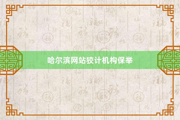 哈尔滨网站狡计机构保举