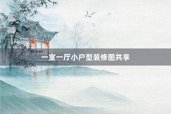 一室一厅小户型装修图共享