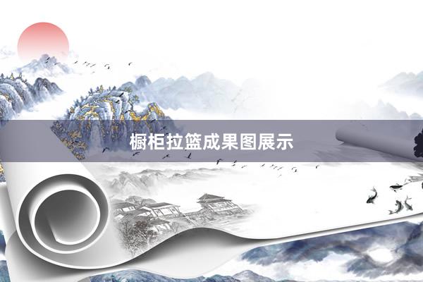 橱柜拉篮成果图展示