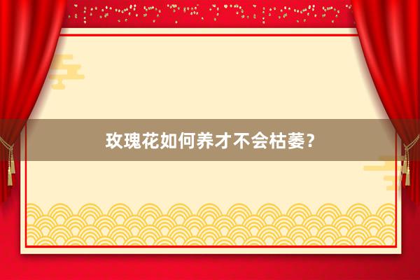 玫瑰花如何养才不会枯萎？