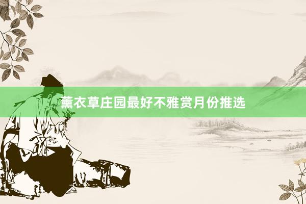 薰衣草庄园最好不雅赏月份推选